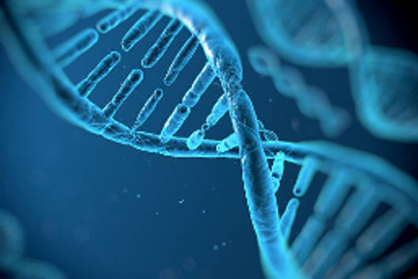 1o Πανελλήνιο Συνέδριο Ιατρικής Γενετικής