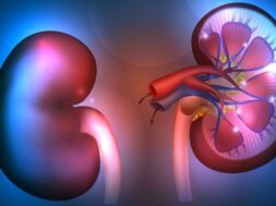 nefriki-aneparkeia-medium