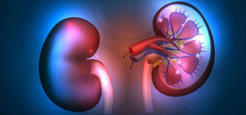 Ποιες είναι οι ενδείξεις της νεφρικής ανεπάρκειας στο σώμα;