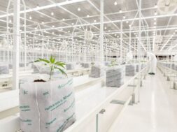 ΔΤ_TIKUN_ΦΩΤΟΓΡΑΦΙΑ 4 (2)