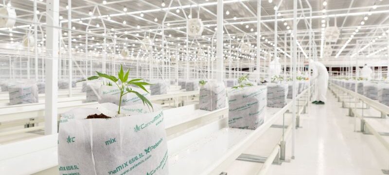 ΔΤ_TIKUN_ΦΩΤΟΓΡΑΦΙΑ 4 (2)