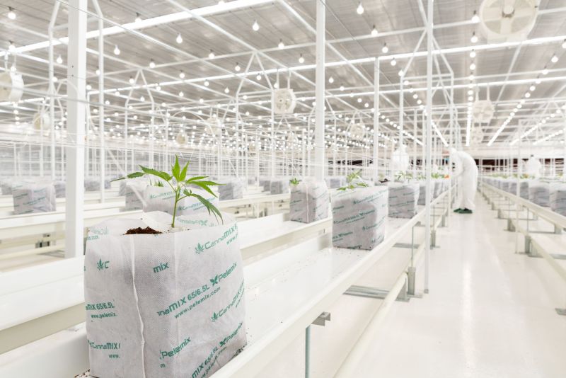 Νέα στρατηγική συνεργασία της TIKUN Europe με τον όμιλο Lavipharm