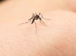 ΙΟΣ-ΤΟΥ-ΔΥΤΙΚΟΥ-ΝΕΙΛΟΥ