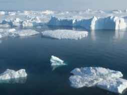 αρχείο-λήψης-2-1