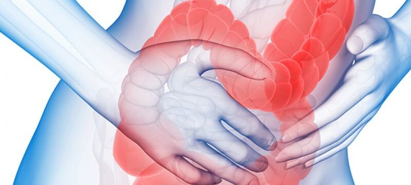 93c282c03f416b2f6dd58b807220face_2e88794f-3592-4557-8ecb-6cb0586cff71-697-c@2x