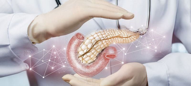 The concept of protection of the pancreas .