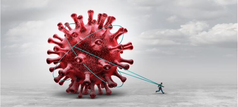 pnas.2213524119fig01