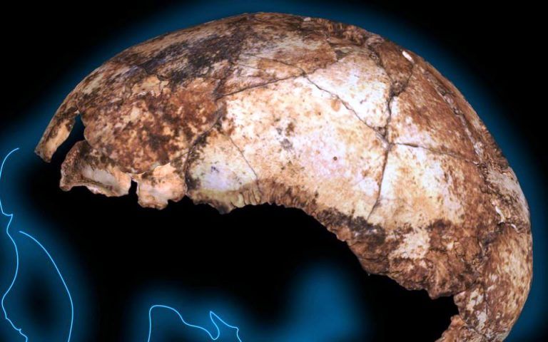 Το αρχαίο κρανίο που ανακαλύφθηκε στην Κίνα θα μπορούσε να είναι Homo erectus ηλικίας 1.000.000 ετών
