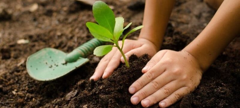 Child-Gardening-With-Shovel-1200×667