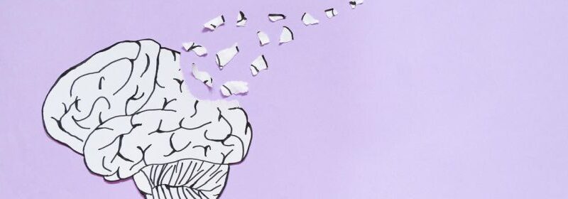 brain-forgetting-scott-small