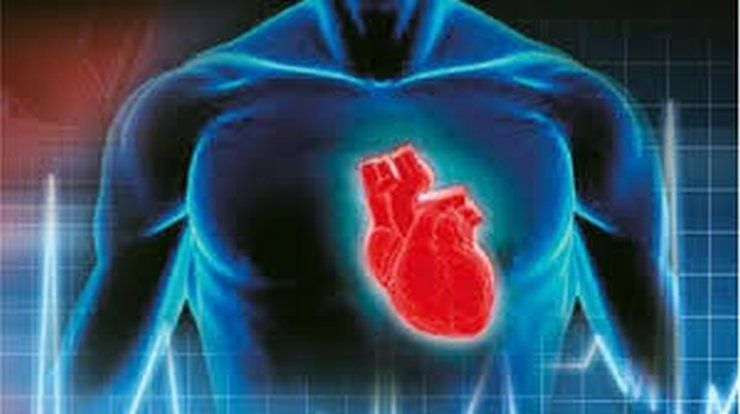 Σεμινάρια για ασθενείς με καρδιαγγειακές παθήσεις