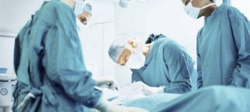 metamosxefsi-1024×681