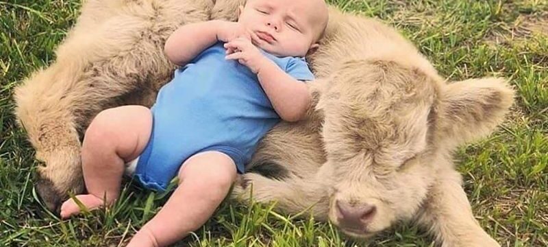 5d70be19dd6240658a9a0c4315b4f812