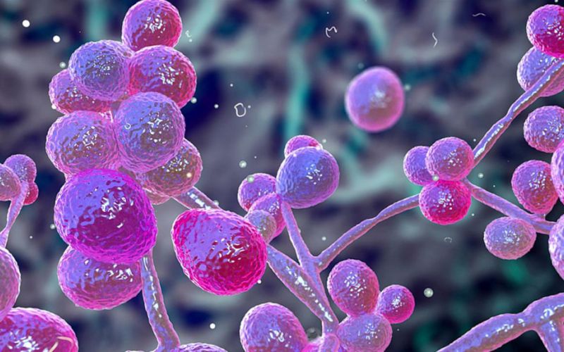 Ξεκίνησε σήμερα το 22ο Πανελλήνιο Συνέδριο Λοιμώξεων