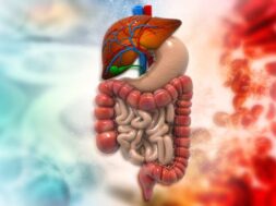 Human digestive system on scientific background.3d illustration