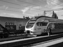 pexels-vladimir-srajber-14924416