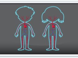 Board showing human blood vein
