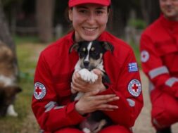 IMG-8990cfcb0473d852c665ca5859b8c229-V