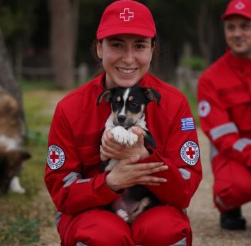 IMG-8990cfcb0473d852c665ca5859b8c229-V