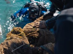 RIOmare_MEDASSET_DanezisStories_AG3291