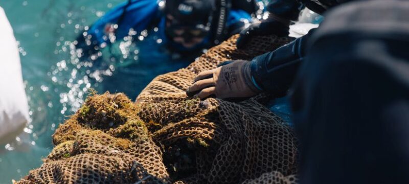 RIOmare_MEDASSET_DanezisStories_AG3291