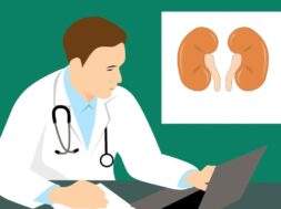 kidney-g458310fa4_1920