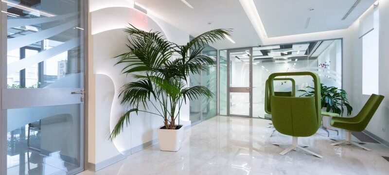 petr-magera-HuWm7malJ18-unsplash