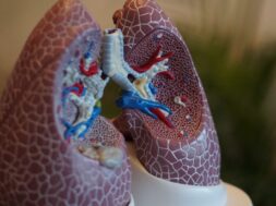 robina-weermeijer-Pw9aFhc92P8-unsplash