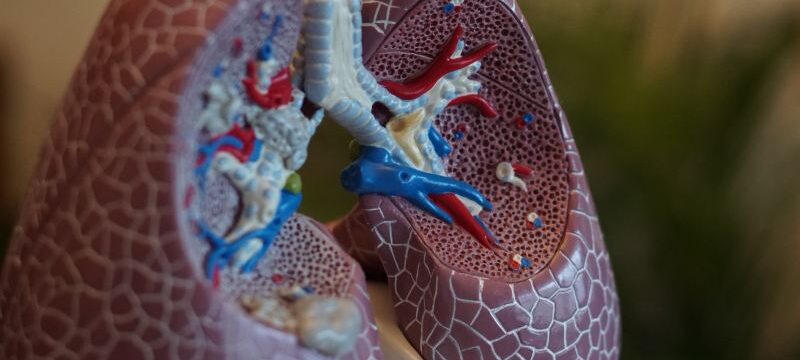 robina-weermeijer-Pw9aFhc92P8-unsplash