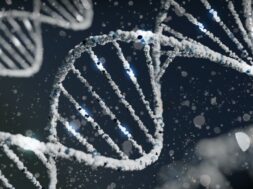 sangharsh-lohakare-Iy7QyzOs1bo-unsplash