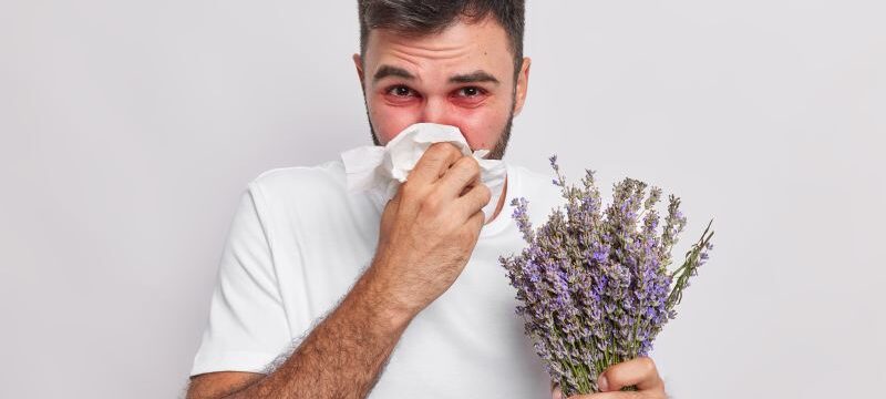 Indoor shot of allergic man blows nose in handkerchief has sneezing and rhinitis allergy to lavender red swelling eyes suffers from unpleasant symptoms isolated on white wall. Sickness concept