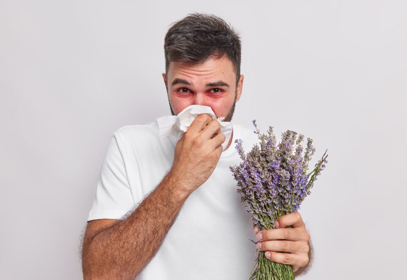 Αλλεργική ρινίτιδα