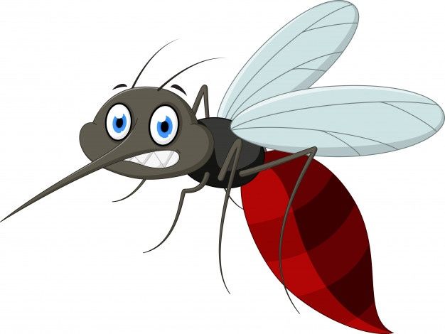 Μέτρα για να προφυλάσσεστε από τα κουνούπια