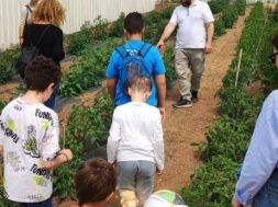 IMG_20230507_115641 – Copy