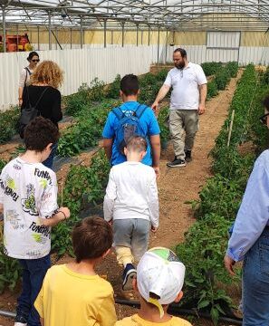 IMG_20230507_115641 – Copy