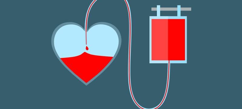 heart-g00624a69b_1280