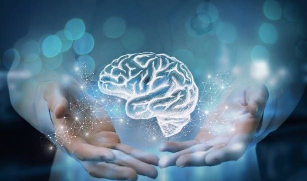 Medic shows in the hands of the brain on blurred background.