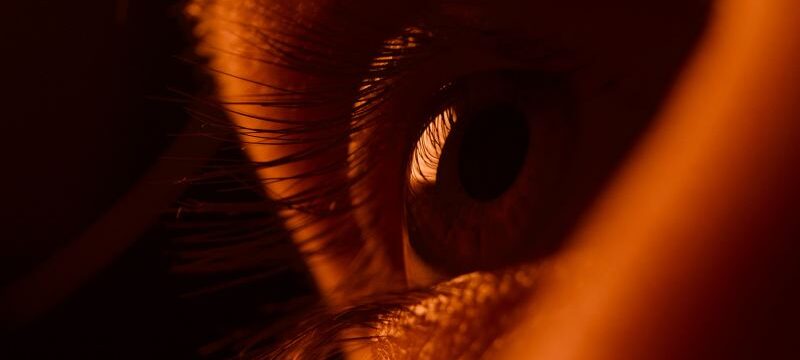 nora-hutton-vUWo4-5vsv4-unsplash