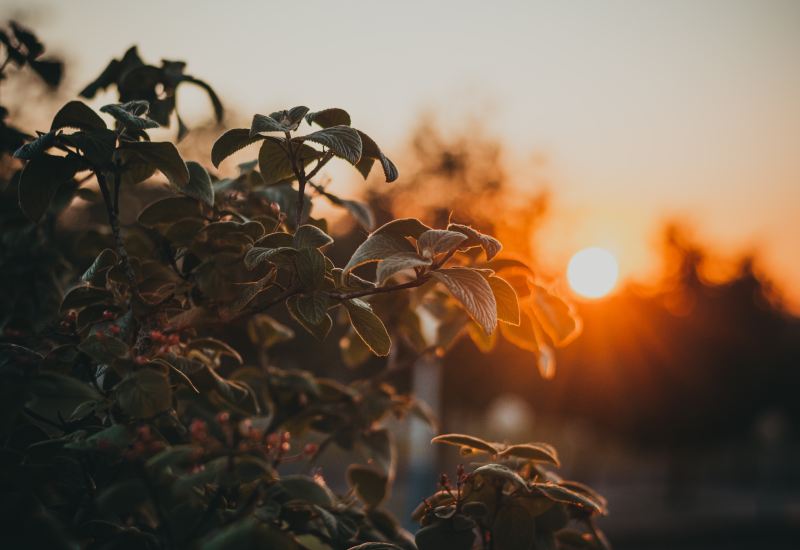 Πόσο σημαντική είναι η αντηλιακή προστασία τους ανοιξιάτικους μήνες;