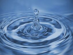 pexels-aleksandr-slobodianyk-989959