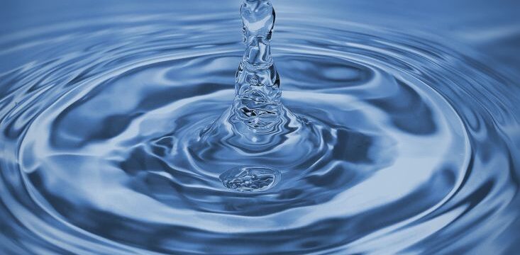 pexels-aleksandr-slobodianyk-989959