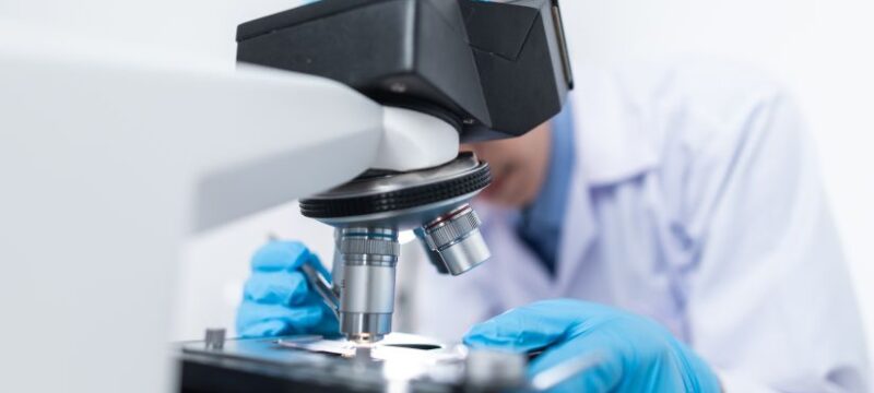 pexels-chokniti-khongchum-3938022