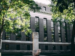 pexels-matthis-volquardsen-2350925 (1)