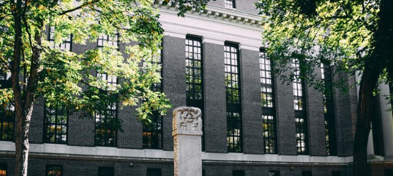 pexels-matthis-volquardsen-2350925 (1)