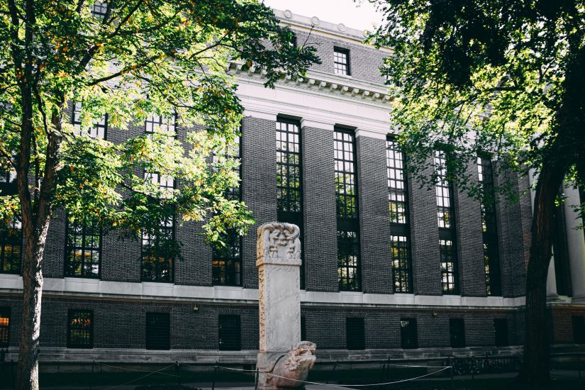 Χάρβαρντ: Κλοπή λειψάνων προς πώληση σε μια αγορά που υπόκειται σε λίγους ομοσπoνδιακούς κανονισμούς