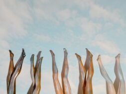 pexels-tara-winstead-8384539