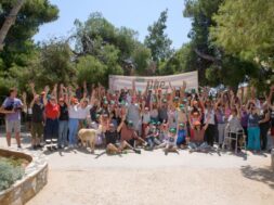 86ac67d1-025f-3df3-a5dd-d9c4cf8d5593