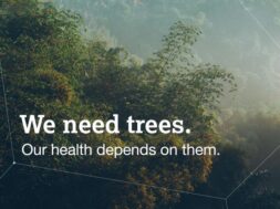 AZ_Sustainability Report 2022_Forest Carousel_Paid_7-01 (1) (1)