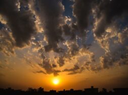 pexels-sarmad-mughal-397979