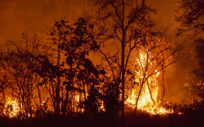 Μέτρα προστασίας από τις πυρκαγιές